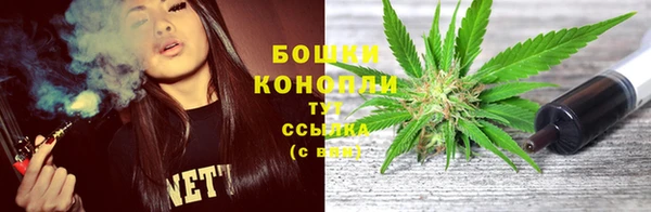 амф Бородино